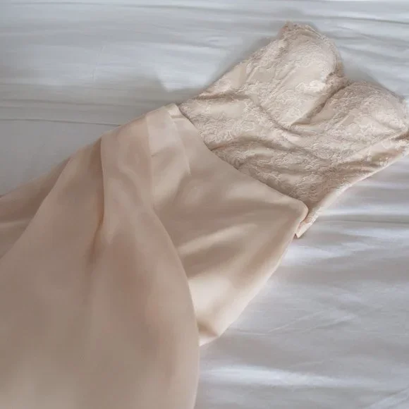 Monique Lhuillier Wedding Dress - Picture 4 of 9